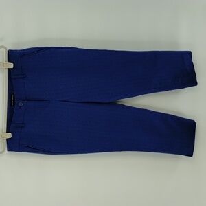Hilary Radley crop ankle pants blue on blue design size 8 stretch mid rise